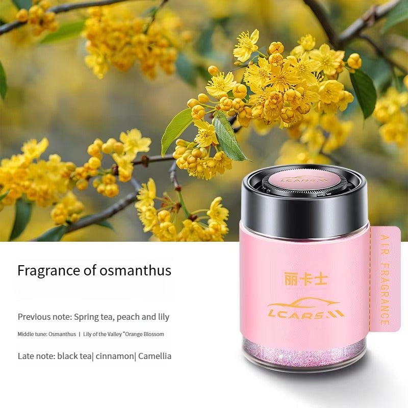 Car Air Freshener (50g)