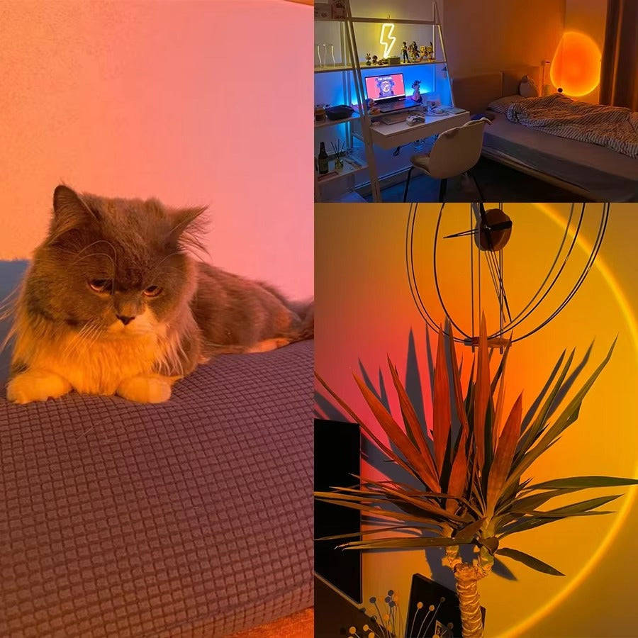 Sunset Lamp Night